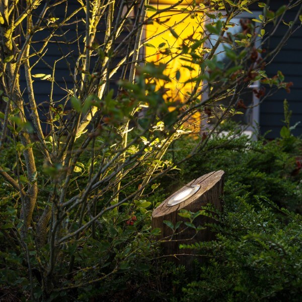 Ground lamp round chestnut shining on bush
