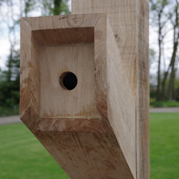 Wooden birdhouse hole
