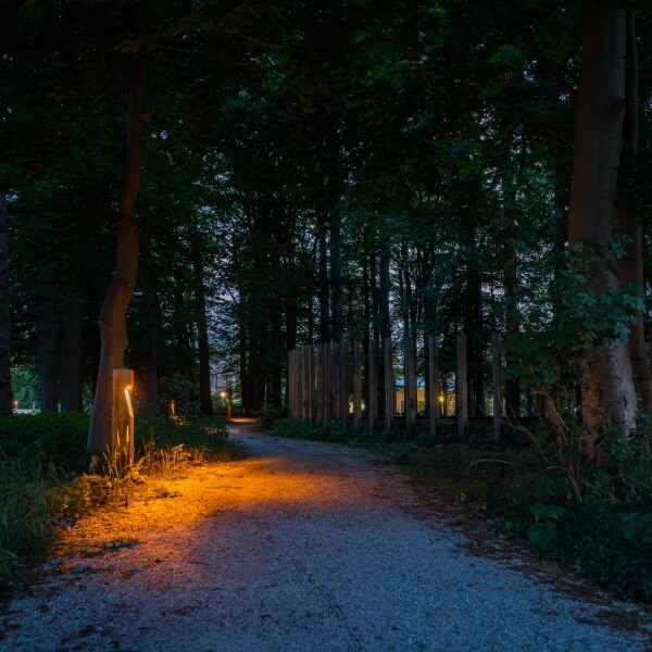 Wooden path lighting with bat-friendly light color on a forest path