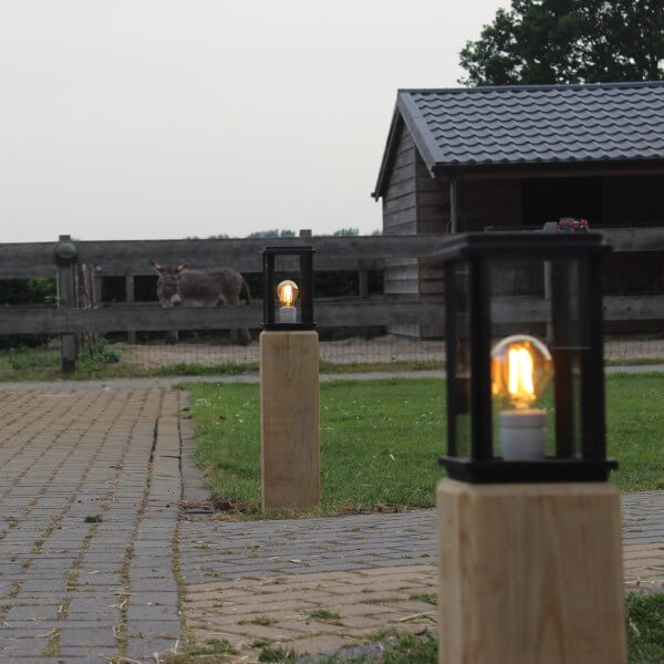 Wooden path lighting with cast aluminum fixture tot he horse house