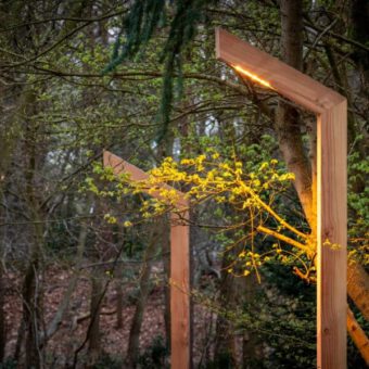 Wooden lamppost with out an angled outrigger in the forest